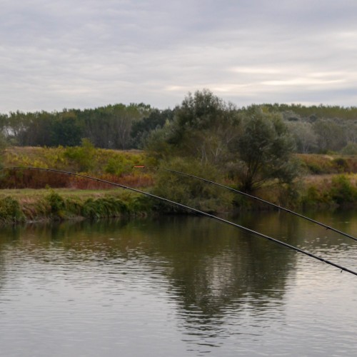 Abordarea partidei de pescuit la feeder